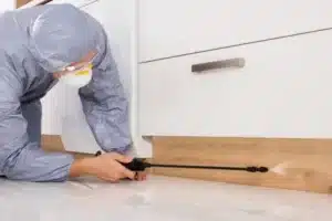نموذج عقد اتفاق مكافحة حشرات