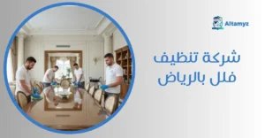 شركة تنظيف فلل بالرياض
